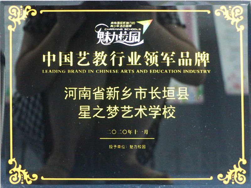 中國藝教行業(yè)