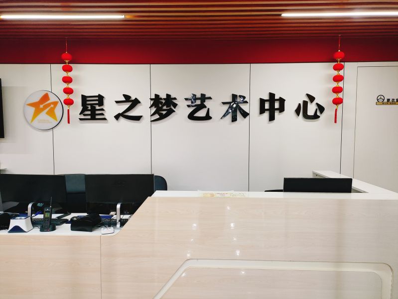 星之夢藝術教育集團簡介